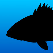 Top 19 Sports Apps Like Fish Rules - Best Alternatives