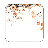 umeblossom livewallpaper icon