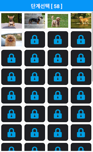도그퀴즈 Screen 2