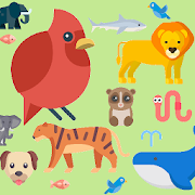Animal Pictures For Kids With Name And Voice