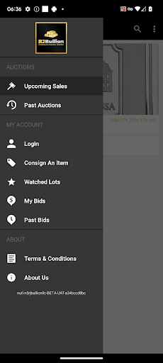 Screenshot of RJB Auctions