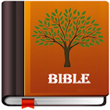 The NLV Bible icon