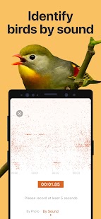 Picture Bird - Bird Identifier Screenshot