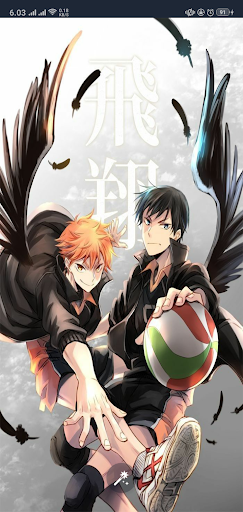 Haikyuu Karasuno High School W