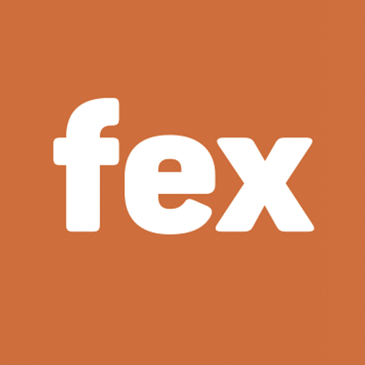 FEX: Fletes y Despachos logo