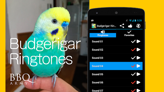 Budgerigar Ringtones Screenshot