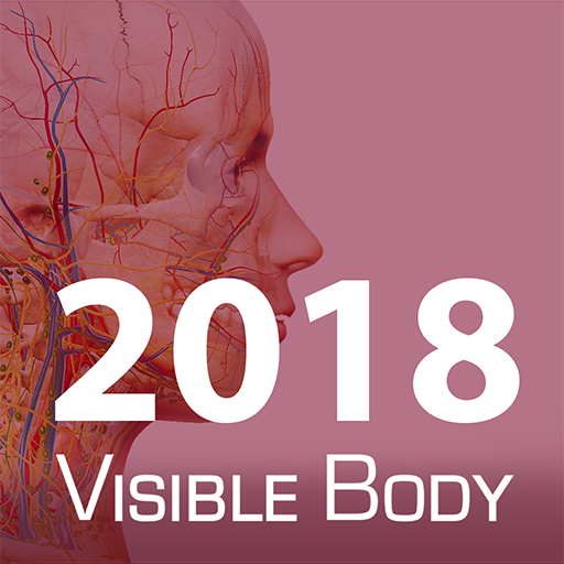 2018 A&P Perpetual logo
