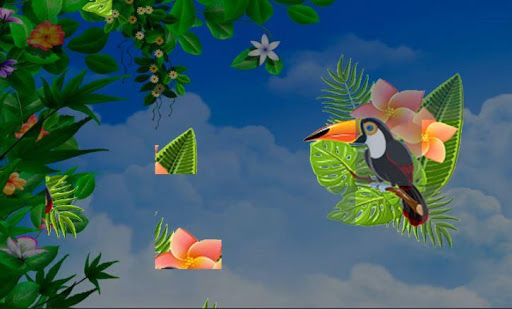 Android application Catch image screenshort