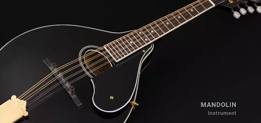 Mandolin Instrument Screenshot 1 - AppWisp.com