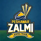 Peshawar Zalmi icon