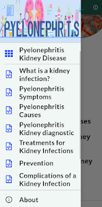 Pyelonephritis Kidney Disease