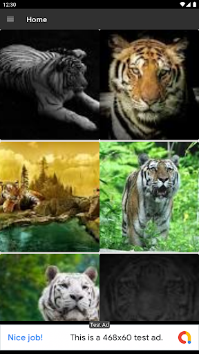 Download Tigers Wallpaper Free for Android - Tigers Wallpaper APK Download  