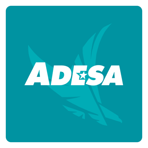Adesa купить юридический адрес в новосибирске