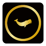 Gold Circle 2015 icon