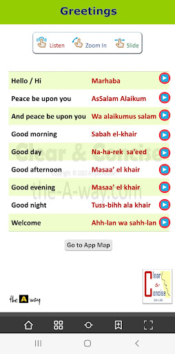 Clear & Concise EN/AR Pro Screen 3