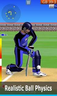 Smashing Cricket - a cricket game like none other Screenshot