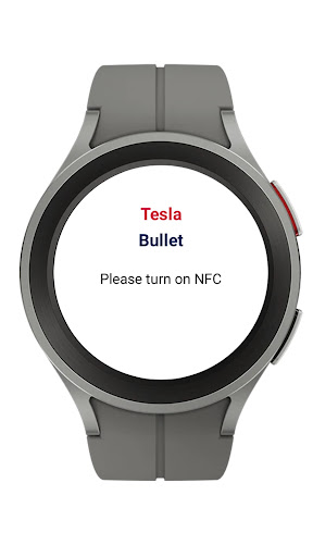 Tesla Bullet Key Screen 2