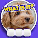 Guess it! Zoom Pic Trivia Game APK