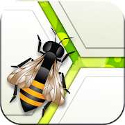 Bienen-App  Icon