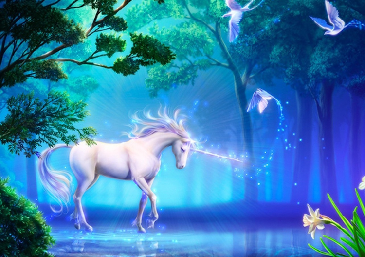 Unicorn Jigsaw Puzzles - 2.13.00 - (Android)