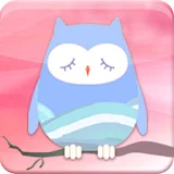 Secret owls (LiveWallpaper) icon