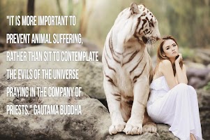 Quotes of Buddha