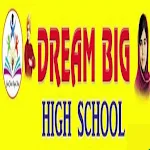 Cover Image of Tải xuống DREAM BIG HIGH SCHOOL 1.1 APK
