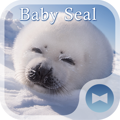 かわいい壁紙アイコン アザラシの赤ちゃん 無料 Google Play のアプリ