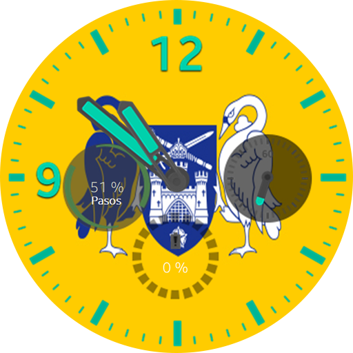 Canberra Flag Watchface logo
