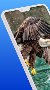 Captura 7 Eagle bird wallpaper HD android