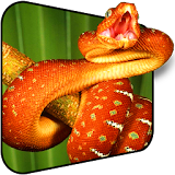 Dangerous Snake Live Wallpaper icon