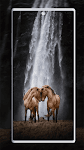 screenshot of Horse Wallpapers