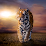 Cover Image of Herunterladen 5D Tiger Live Wallpaper  APK
