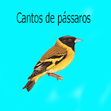 Canto pássaros Vol 1 LITE 2 icon