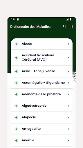 Dictionnaire des Maladies Screen 2