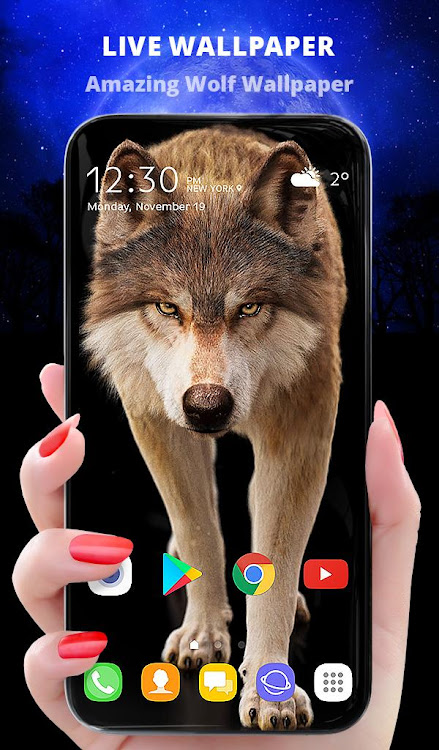 Lone Wolf Wallpaper + Keyboard - 5.10.45 - (Android)