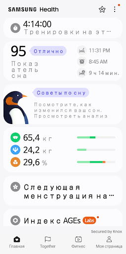 Предварительный просмотр приложения