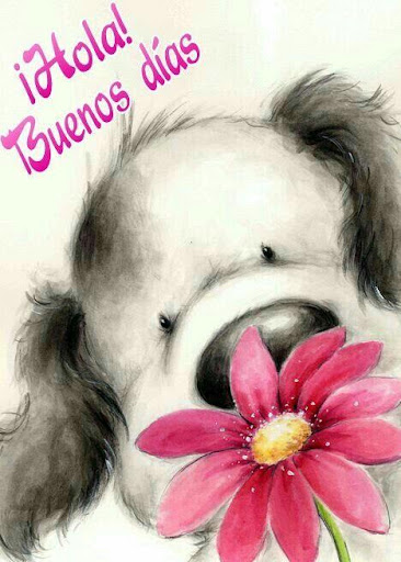 Saludos y Pensamientos Positivos