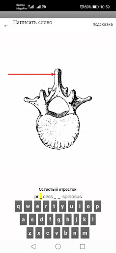 Нормальная анатомия человека Screen 3