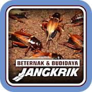 Top 13 Entertainment Apps Like Beternak dan Budidaya Jangkrik - Best Alternatives