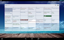 screenshot of Business Calendar