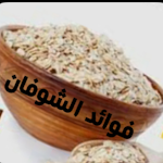 Cover Image of Télécharger فوائد الشوفان 2 APK