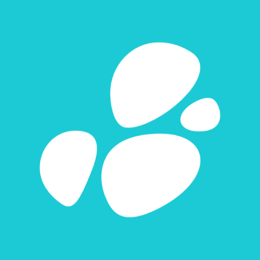 iTurchesi logo