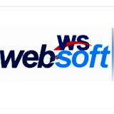 WEB SOFTECH icon