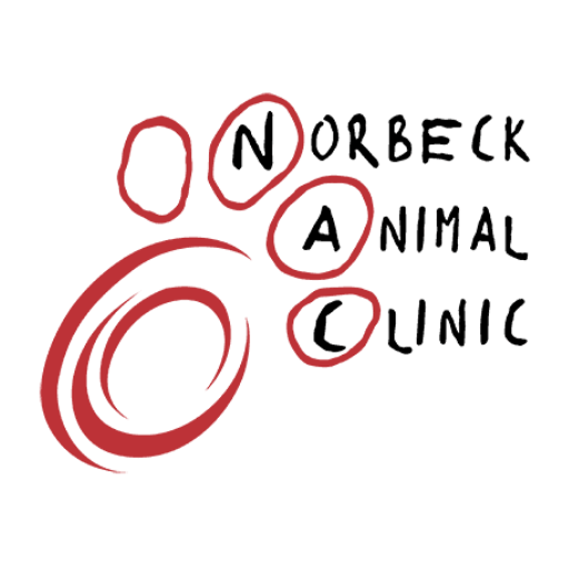 Norbeck Animal Clinic logo