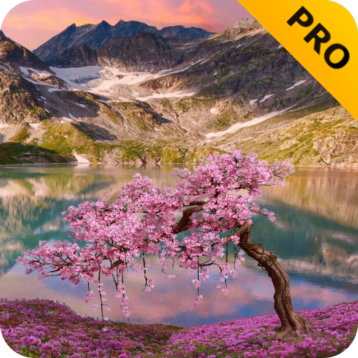 Mountain Landscape Pro logo