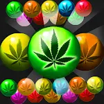 Cover Image of ดาวน์โหลด Weed Bubble Shooter Match 3  APK