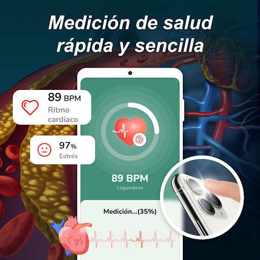 Vista previa de la aplicación
