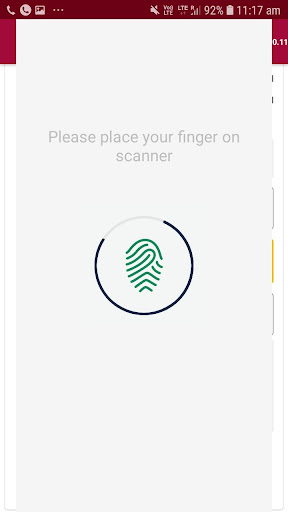BHIM AADHAAR PNB Screen 3