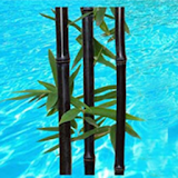 Black Bamboo Resort icon
